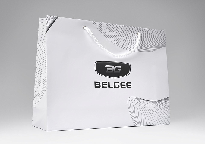 BELGEE · 350×250×90 мм