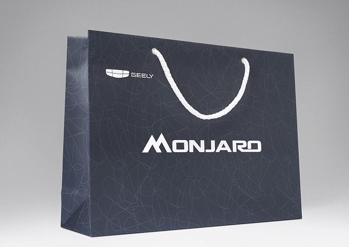 GEELY Monjaro · 350×250×90 мм